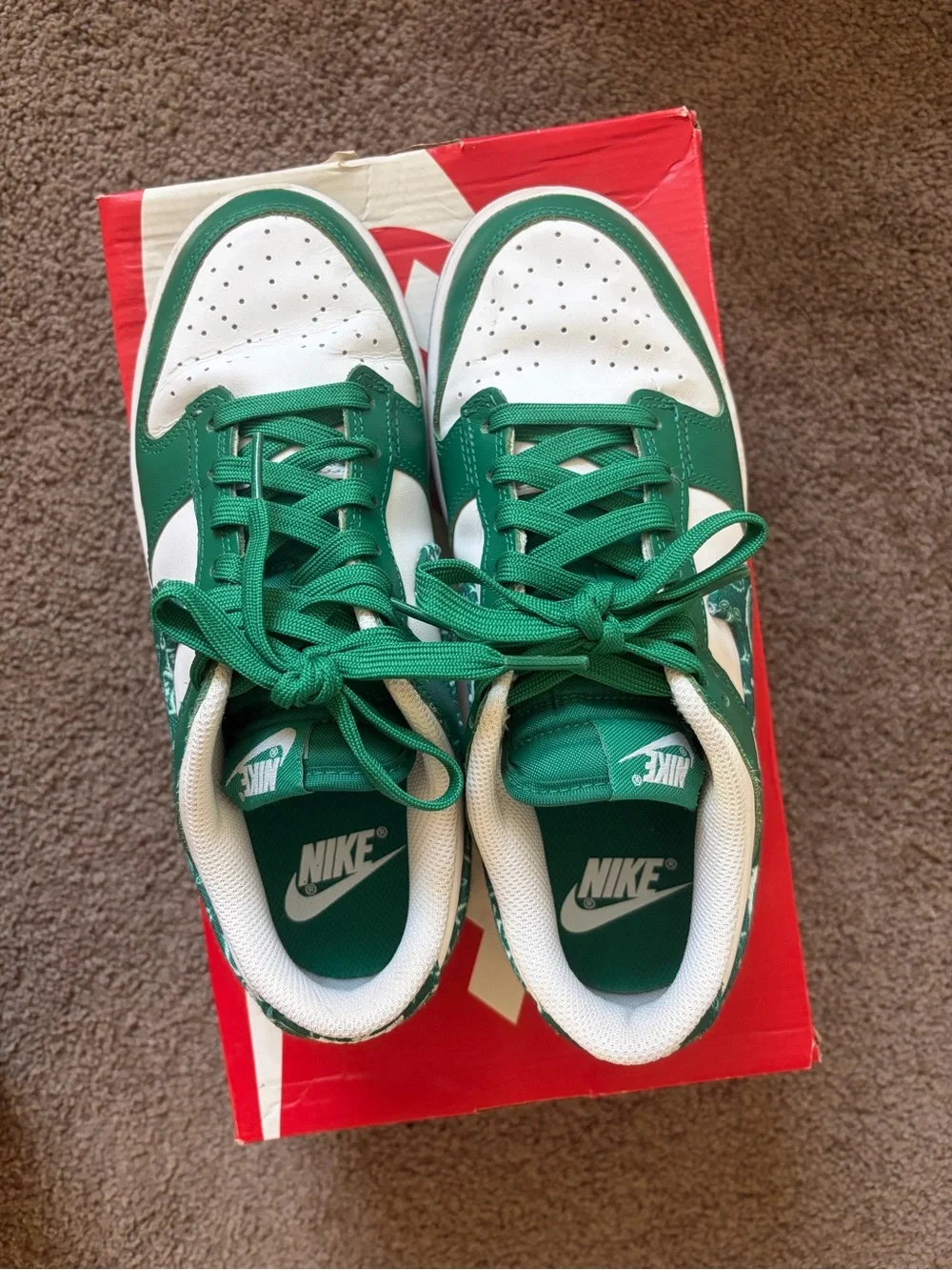 Nike Dunk Low Green White Paisley Accent